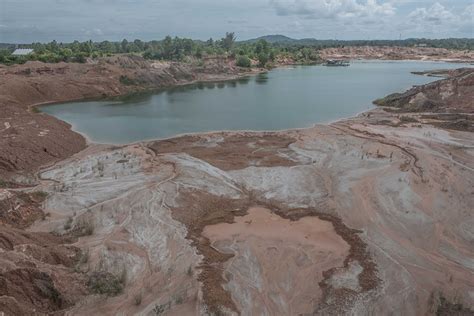 Hutan Bekas Tambang di Bogor Berhasil Pulih, Kerja Nyata KTH Bekerjasama Dengan BRI Menanam-Grow & Green