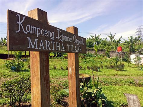 Kampoeng Djamoe Organik: Destinasi Wisata Sehat yang Menyegarkan Jiwa dan Raga di Cikarang