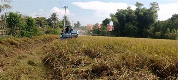 Perubahan Tren Politik Nasional Yang Mengubah Arah Pemerintahan
